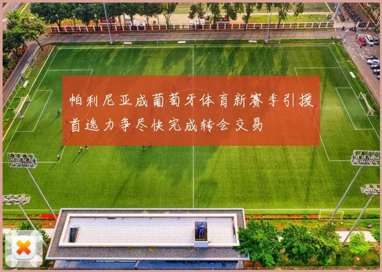 帕利尼亚成葡萄牙体育新赛季引援首选力争尽快完成转会交易