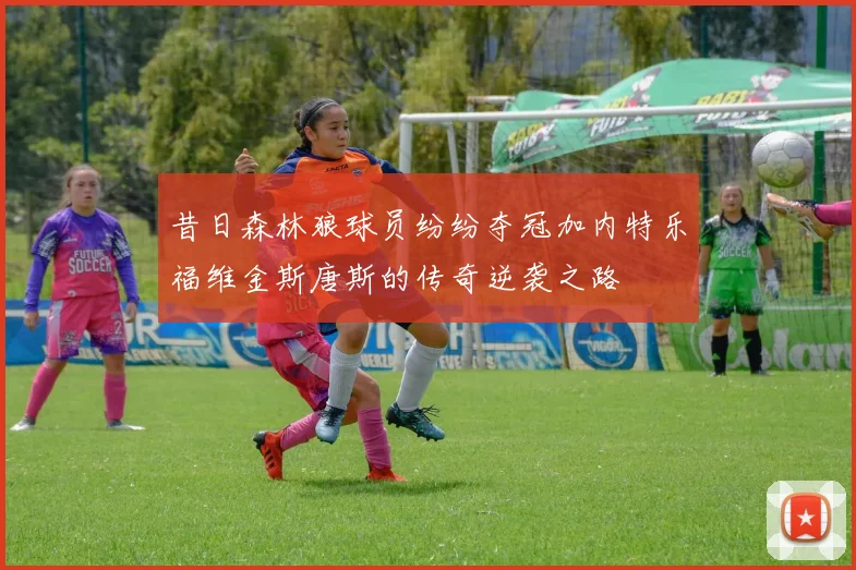 昔日森林狼球员纷纷夺冠加内特乐福维金斯唐斯的传奇逆袭之路